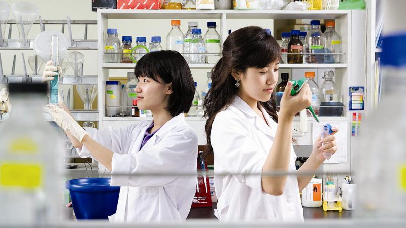 Chương trình đào tạo ngành Dược sĩ Cao đẳng ra sao?